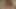 راعية البقر وبيج ريتشاردز
