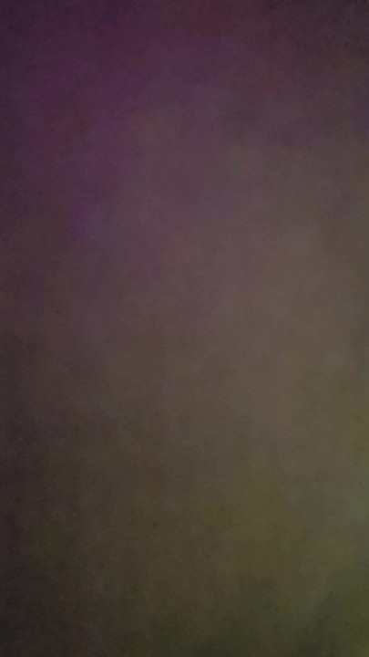 Hotelska toaletna školjka 2