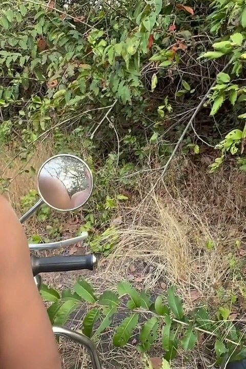 Stepdaddy Gets Picked up on Indian Travels