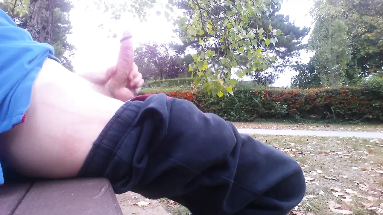 Cum in a public park
