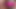 IMG 2051.mp4