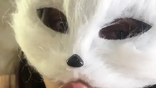 Heute bin ich ein freches kätzchen, das milch will