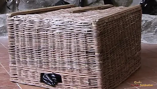 Naughty gal got herself trapped under a basket and disciplined in missionary