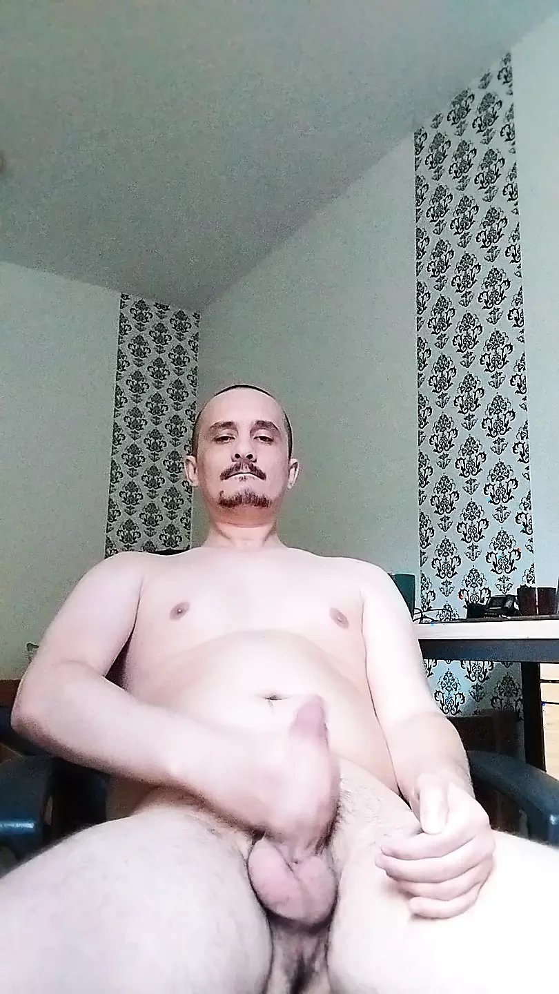 gruby kutas