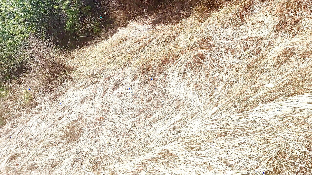 The Little Bitch Entertains the Master and the Drivers