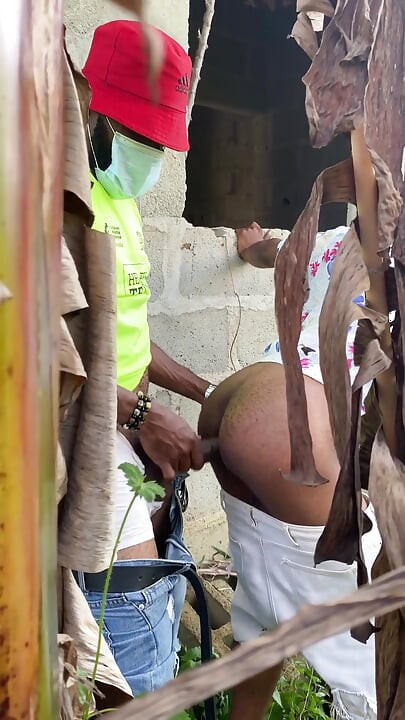 Skrivača Jebanje u grmlju