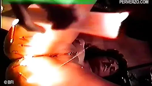 Edepsiz bir piliç için acı çekiyor