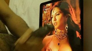 Sunny Leone, structure sexy, hommage