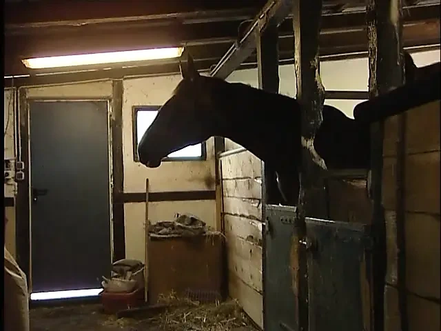 Mature and her girl licking pussy