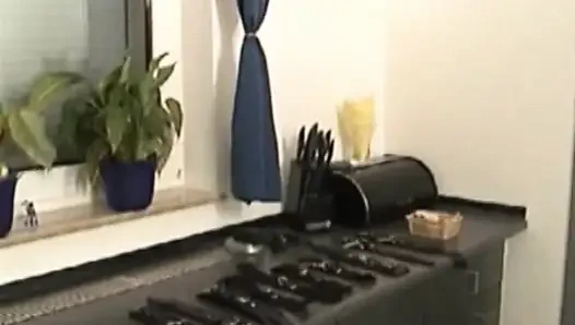 Germany Private Kitchen Slave