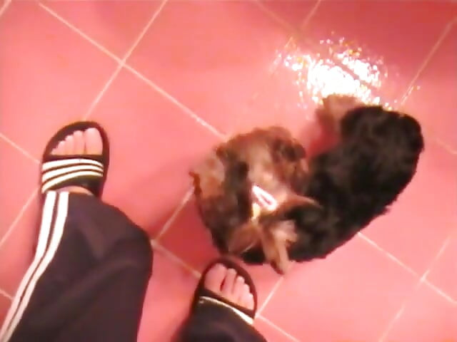 Just a regular night for a czech couple