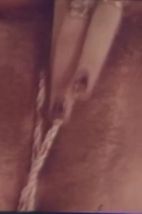 The Masturbating Pig