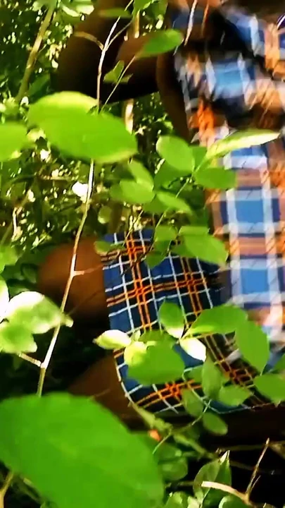 Uno splendido momento da "Il mio giorno della mia felicità"