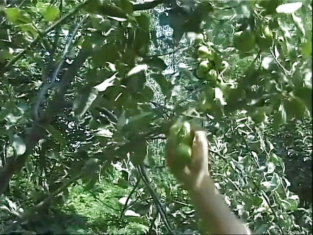 Outdoor threesome for the hairy horny and ready for fuck granny