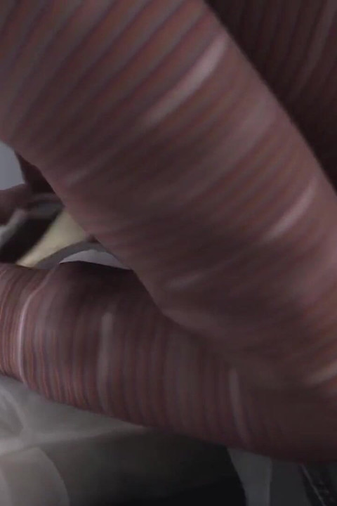 Seventy Year Old Man Wins Battle Against Internet Celebrity Woman