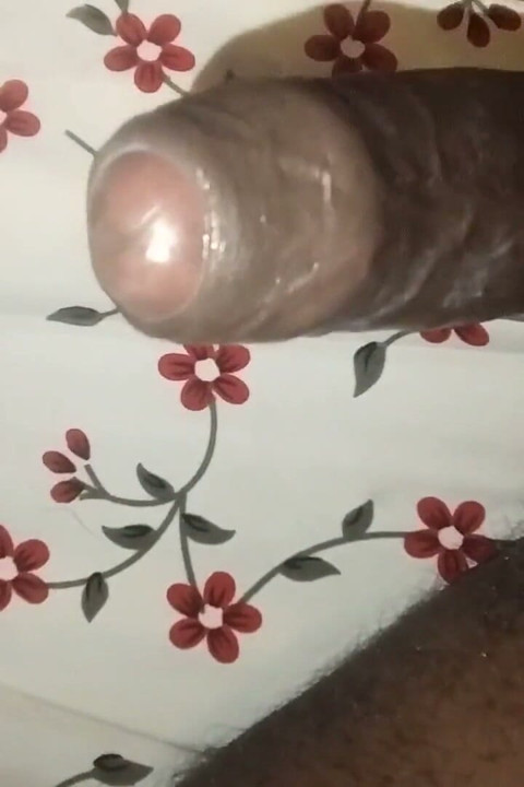 Indian Newly Married Couples Romantic Sex Videos with Best Blowjob