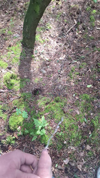 Solo outdoor peeing in a public wood
