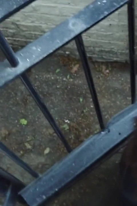 Anal Pleasure in High Heels!