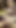 Seductive Viking Girl in Village 3D Hentai - Hairy Pussy Cunnilingus, POV Fingering, and Sitting Squirt Orgasm | Clip 2