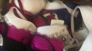 Jerking off in wifes bra drawer with her panties