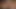 Disebat lilit dan dildo enam kaki