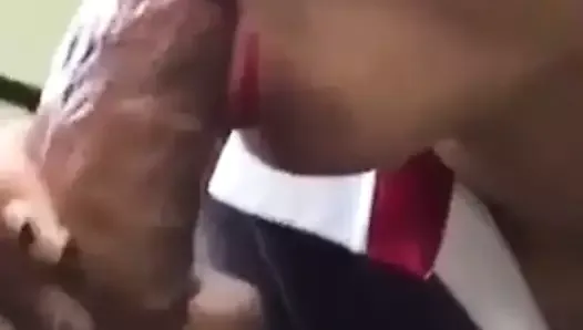 POV Sucking off a thick Brown Dick