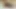 Skinny blond bitch doing ass to mouth