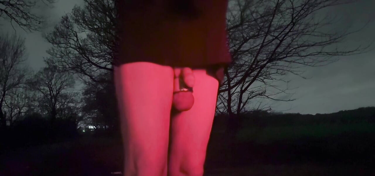 在车外裸体手淫，司机放慢速度