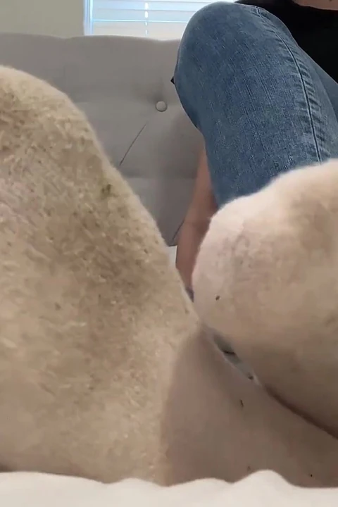 You Need My Smelly Socks