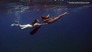 See-Abenteuer auf Teneriffa unter Wasser
