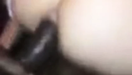 siyah büyük horoz seviyorum