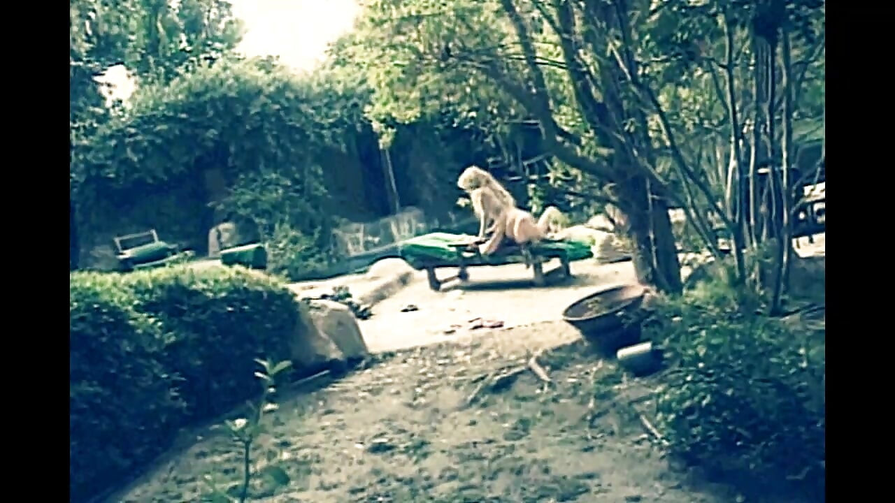 Vintage Sex Ends with Anal