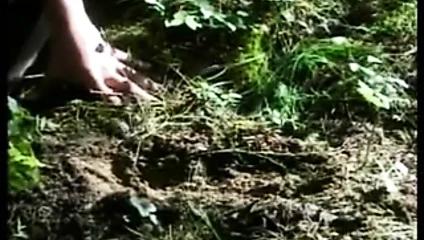 Jungle Jism