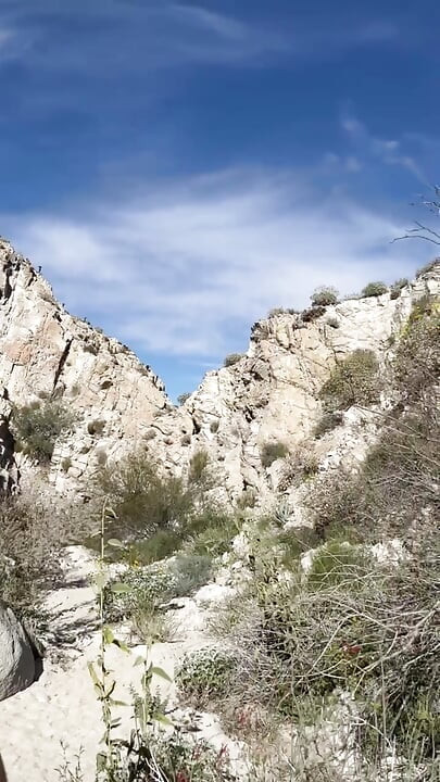 OUTDOOR blowjob while hiking in the desert - AMATEUR WMAF - Cum in Mouth PUBLIC BJ Swallow