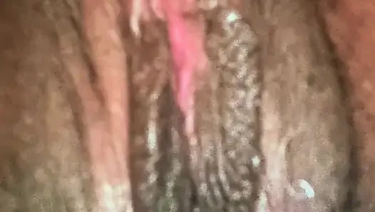 All My Pussy