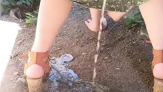 Akhirnya musim panas! Beberapa kencing di luar ruangan baru akan hadir