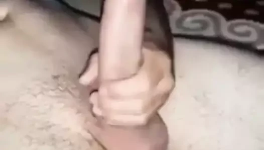 Pula penis kısrak