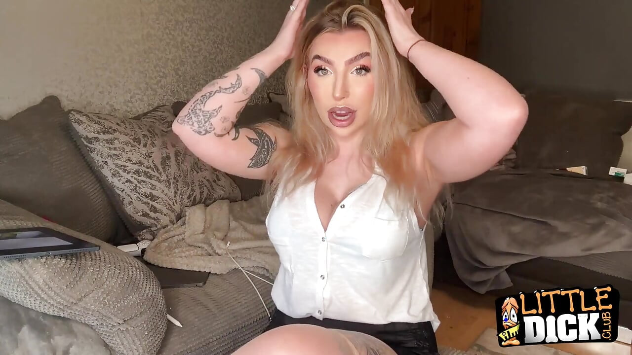 カースティのディック視聴率