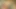 Link beceriyor zelda arkadan ambrosinesfm