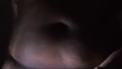 2. video