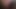 Masturabting kedi asmr