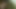 A Threesome Blowjob Session Of A Great Woman Making Cum