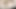Spermaschlampe wird geritten
