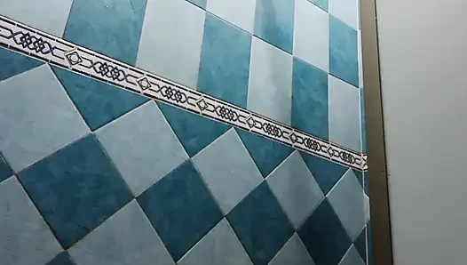 Zusammenstellung von mexikanischer molliger Karmica in der Dusche