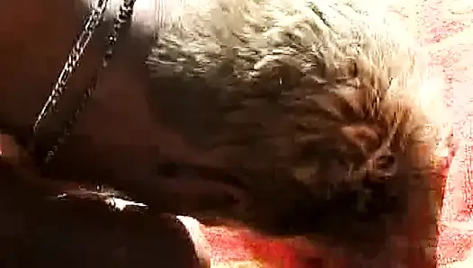 Klassische blonde stiefmutter hart am pool gefickt