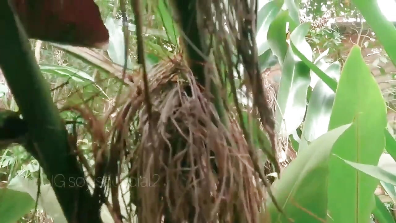 Duş al ve açık havada banyoda işiyor