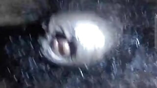 My dick is hungry for pussy