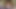 隣の修道女の家に仕事をしに行き、嘘をついて彼女と関係を持った。