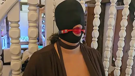 Шарик заткнули кляпом и подделали