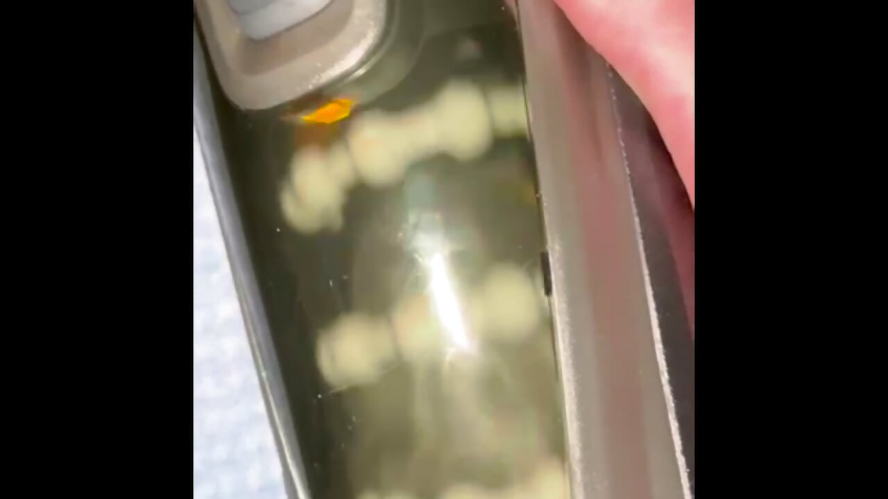 BWC in a Cock Stroking Machine